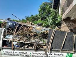 Best Junk Removal for Events  in Moapa Valley, NV