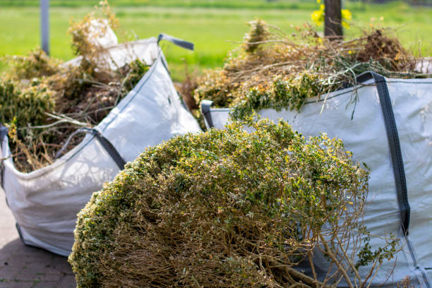 Best Hoarding Cleanup  in Moapa Valley, NV